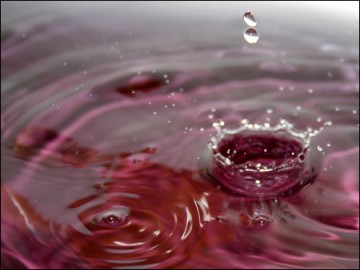 http://leraton-laveuretl-aigle.blogspirit.com/images/medium_macro-goutte.jpg